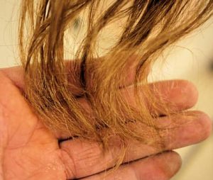 バンコクATAMAヘアーサロンの髪の抜け毛や生え変わりの時期イメージ